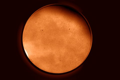 H-α 31.10