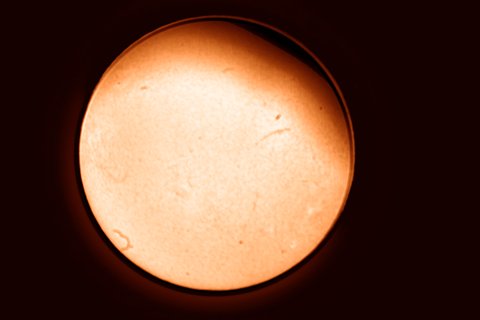 H-α 07.08
