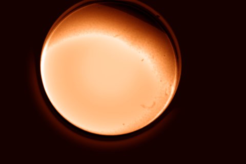 H-α 12.08