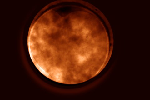 H-α 31.08